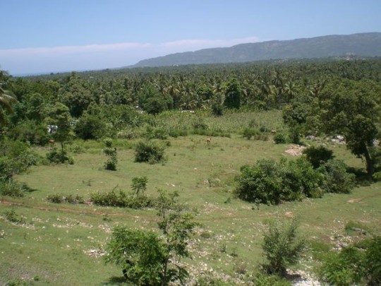 CIMG5217